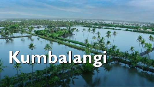 Kumbalangi Village Kochi
