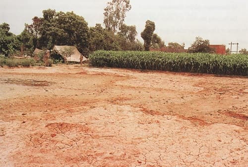 Mandi Village Muzaffarnagar